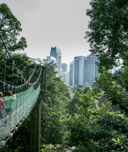 KL Forest Eco Park City Guide