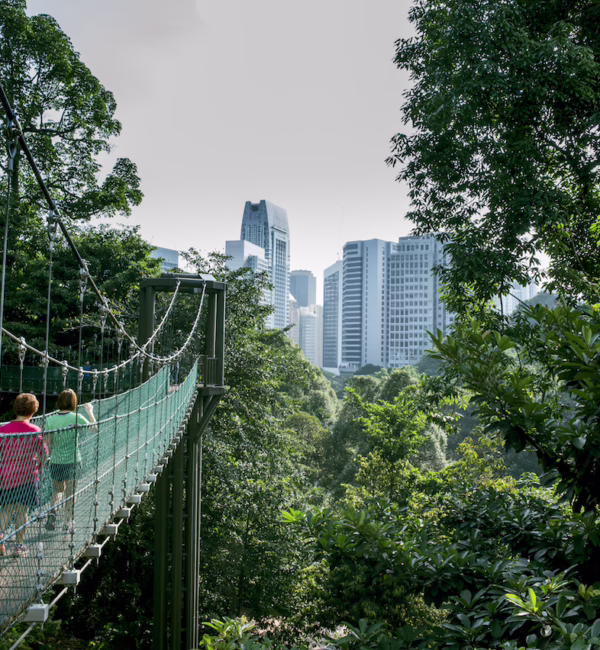 KL Forest Eco Park City Guide