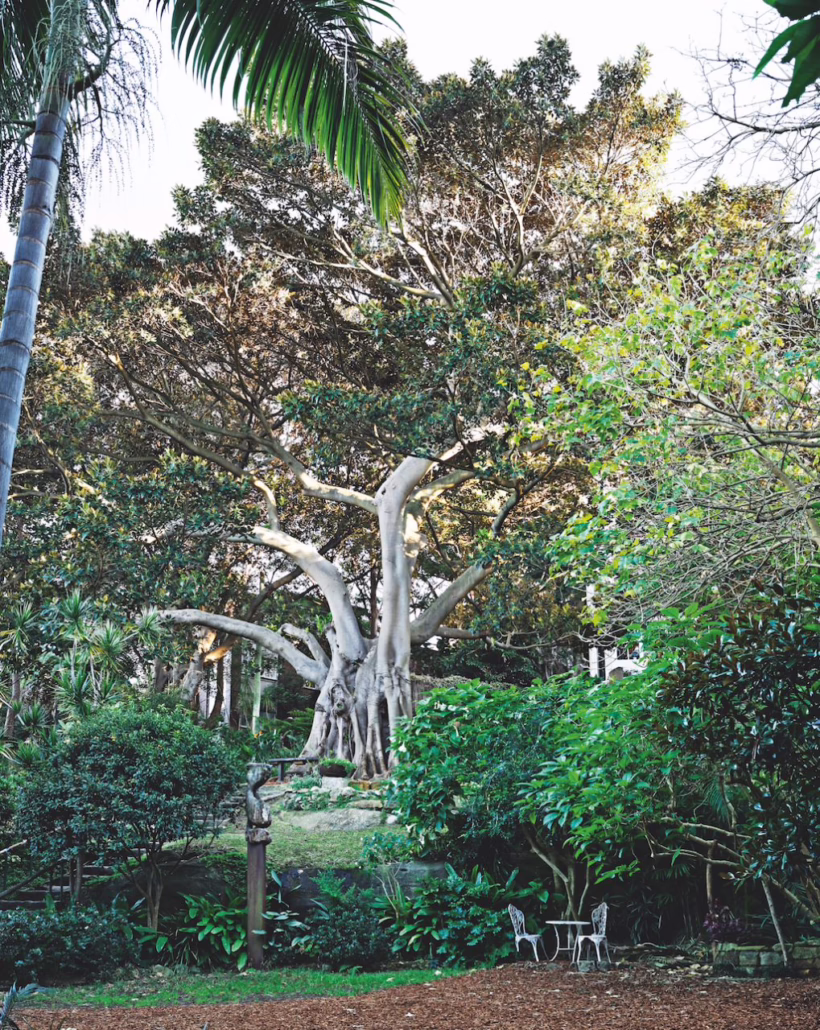 Wendy Whiteley's Secret Garden Sydney SilverKris