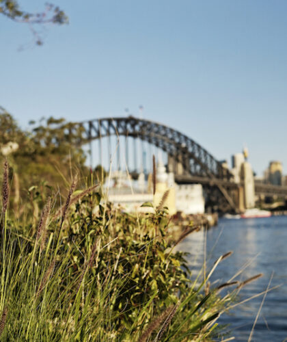 sydney hardbour green spaces feature