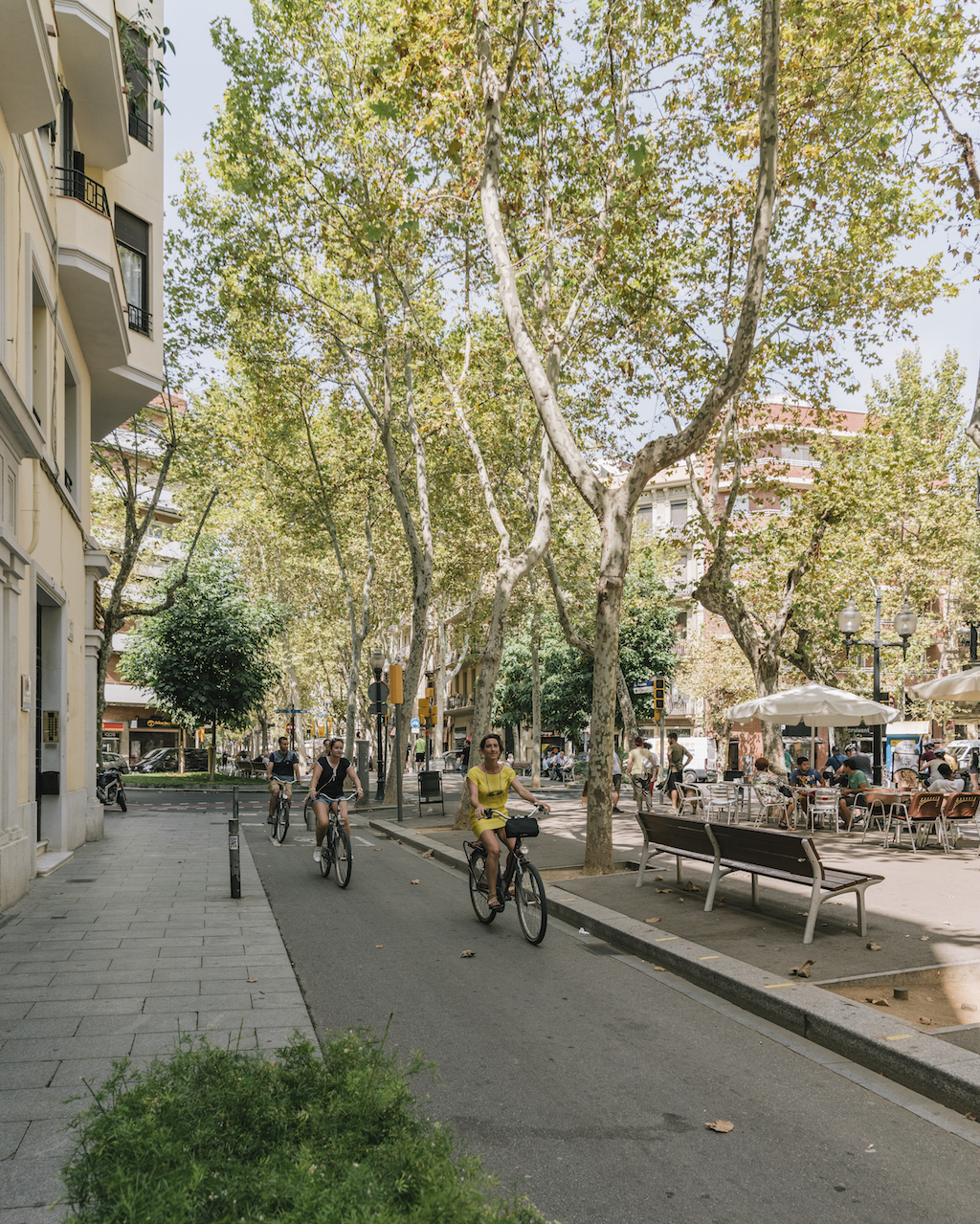 A Steel Donkey Bike Tour through Poblenou