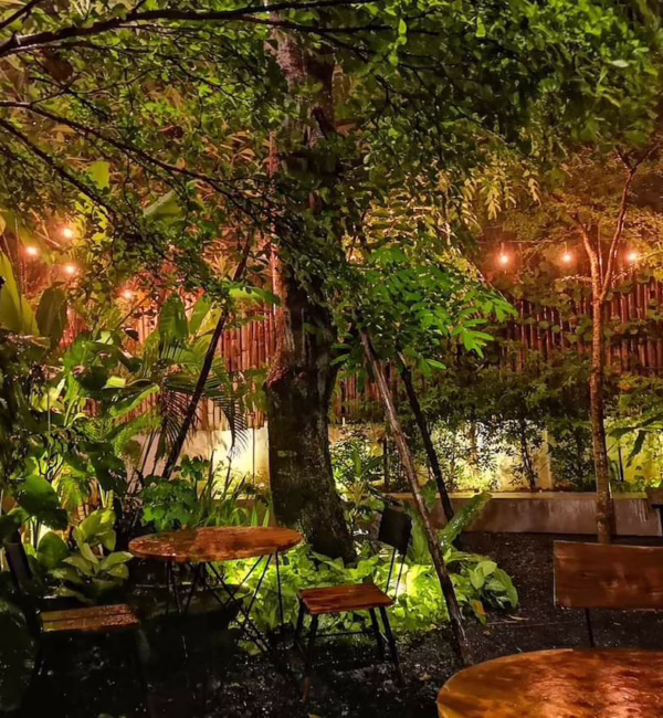 Kinin restaurant phnom penh city guide silverkris