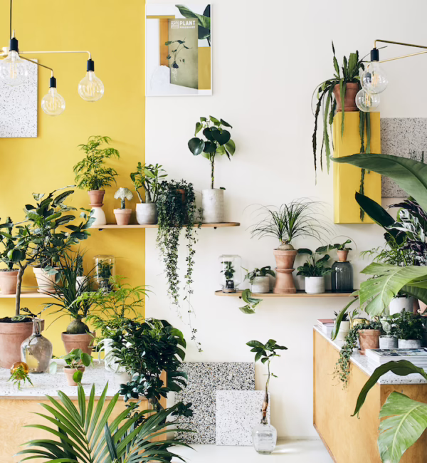 Plant Københaven Copenhagen City Guide SilverKris
