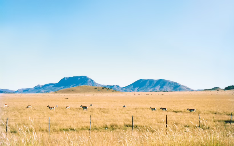 Marfa Texas Silverkris