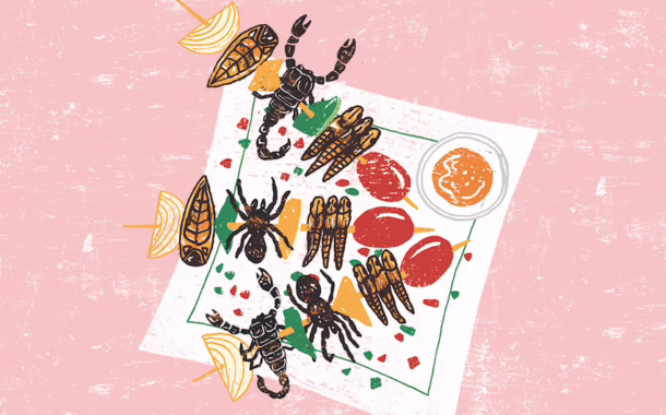 Bug Restaurants SilverKris