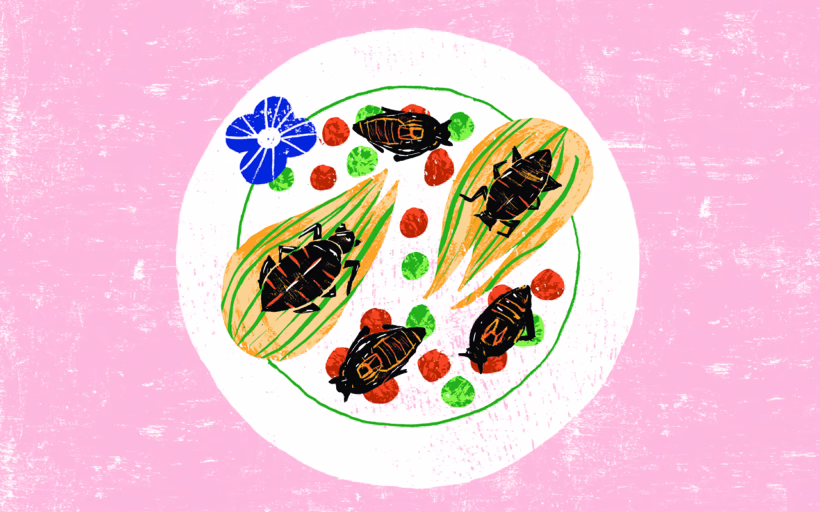 Bug Restaurants SilverKris