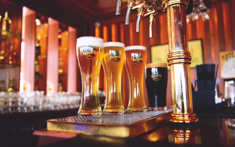 Bangalore craft beers silverkris