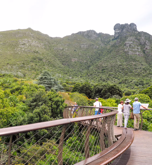 Kirstenbosch Gardens Hiking Cape Town City Guide SilverKris