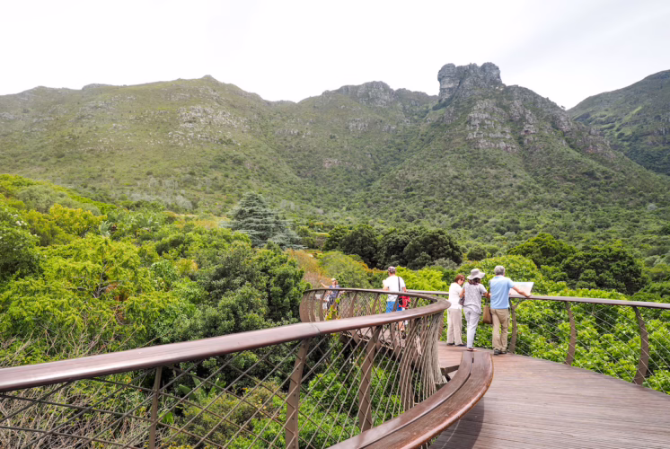Kirstenbosch Gardens Hiking Cape Town City Guide SilverKris