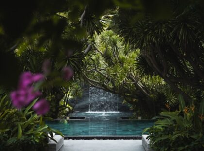 tia-wellness-resort-danang-silverkris