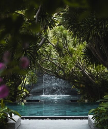 tia-wellness-resort-danang-silverkris