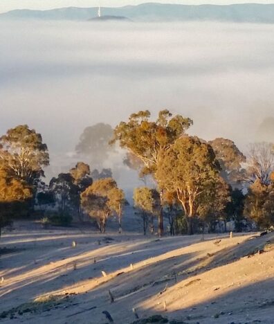 Muligans Flat Canberra City Guide