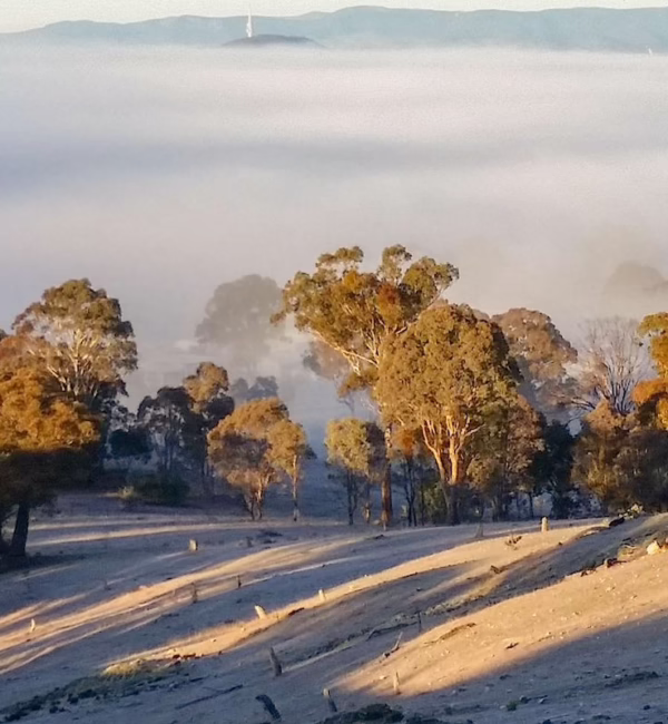 Muligans Flat Canberra City Guide