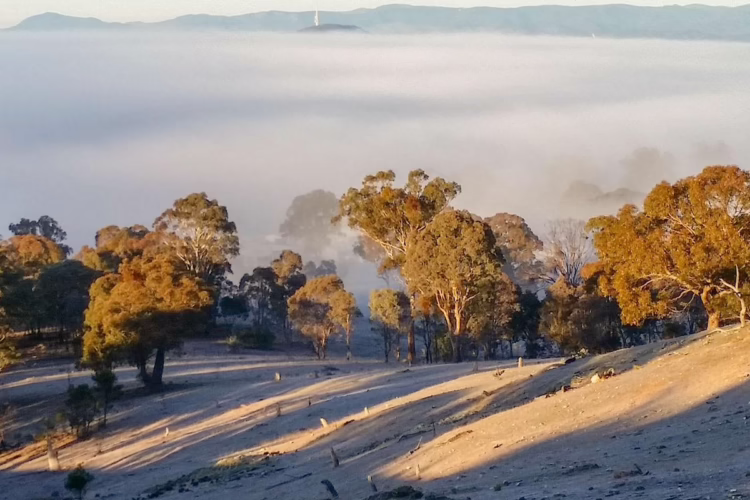 Muligans Flat Canberra City Guide