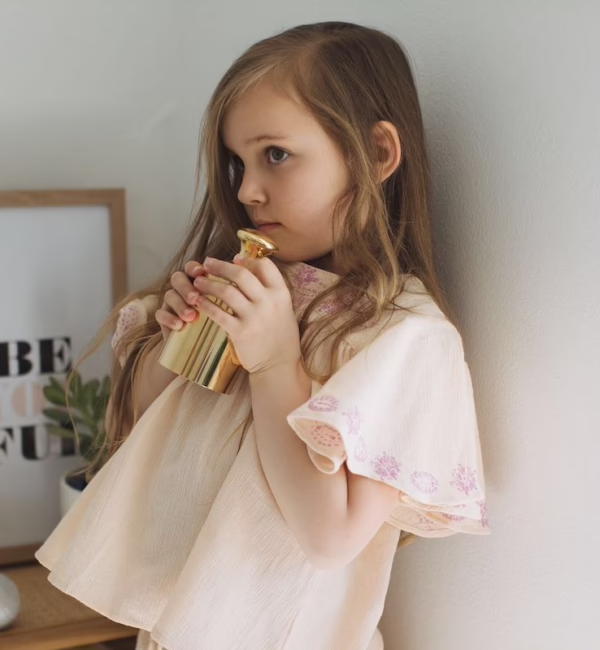 Tip Your It Canberra City Guide SilverKris