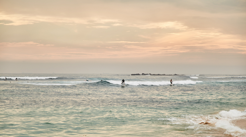 surfing in sri lanka feature image
