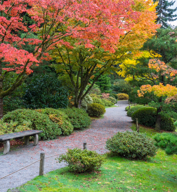 washington park arboretum seattle silverkris city guide