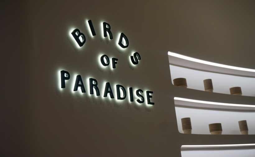Birds of Paradise Jewel Singapore Silverkris