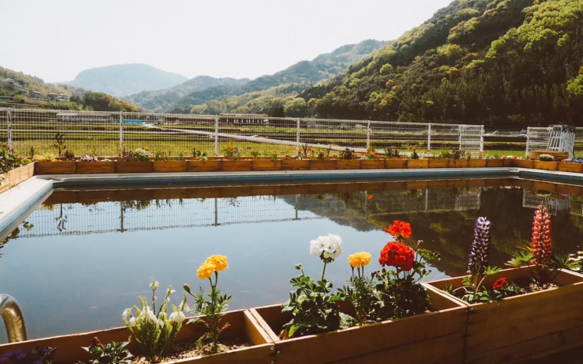 Fluire on Shodoshima Japan SilverKris