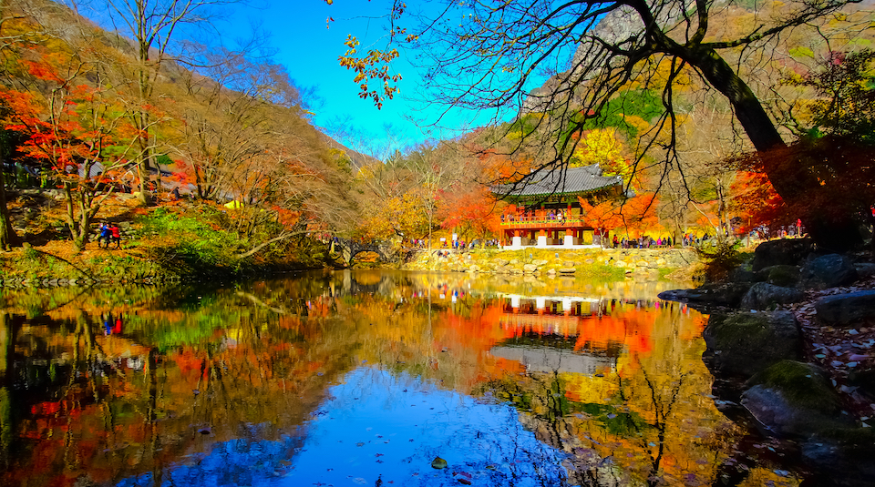 templestays in south korea feature image