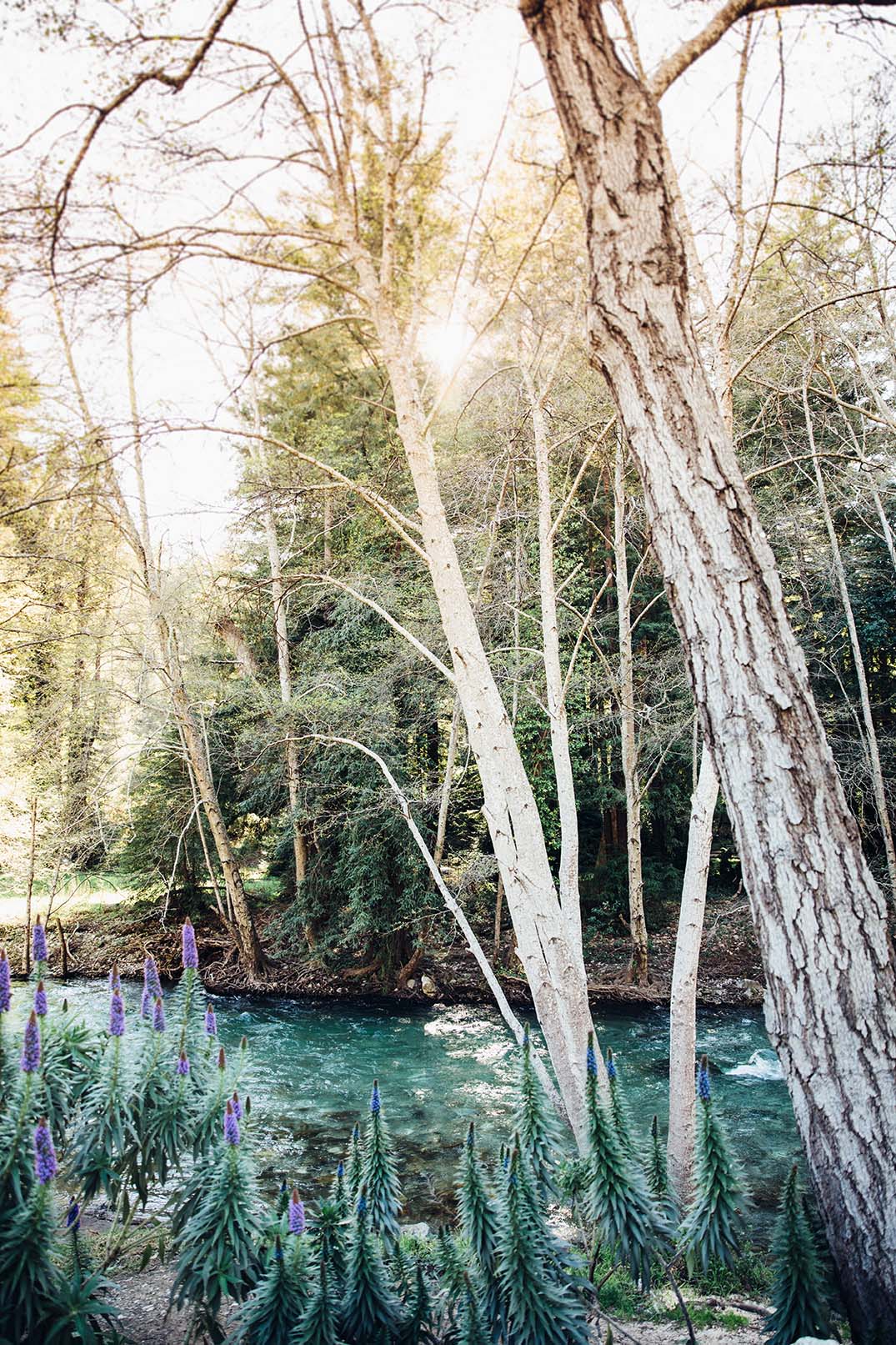 Big Sur River Inn
