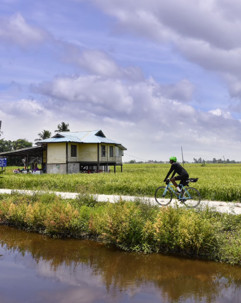 Sekinchan Cycling Kuala Lumpur Penang Silkwinds
