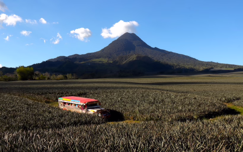 Jeepney Davao Silkwinds