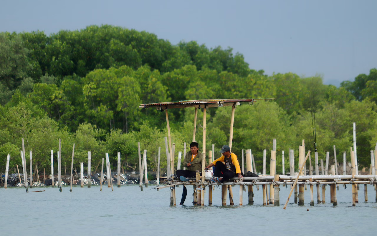 Farmers in Tapak semarang silkwinds