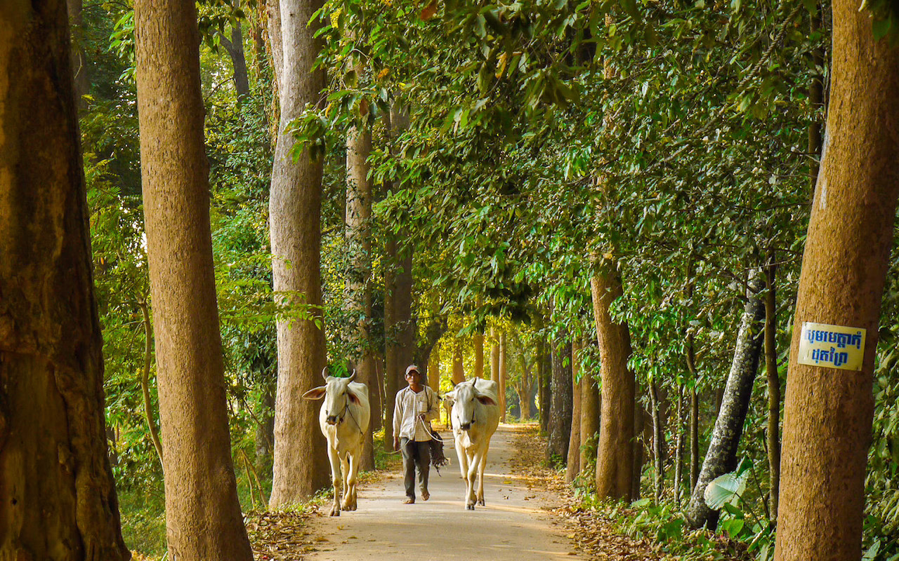 farm phnom pen silkwinds