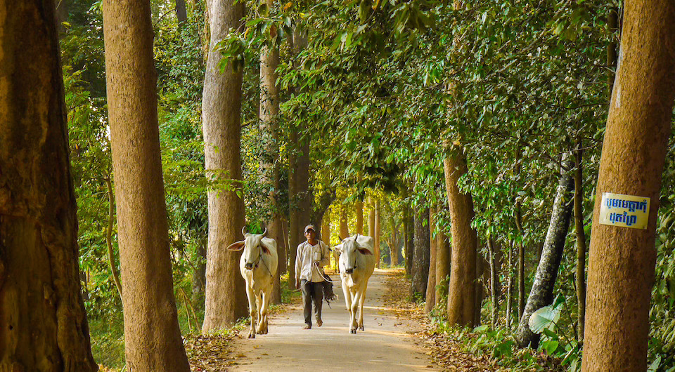 farm phnom pen silkwinds