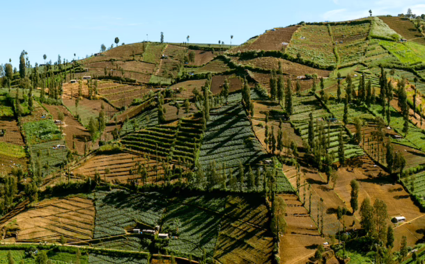 Ngadas village farmland malang silverkris