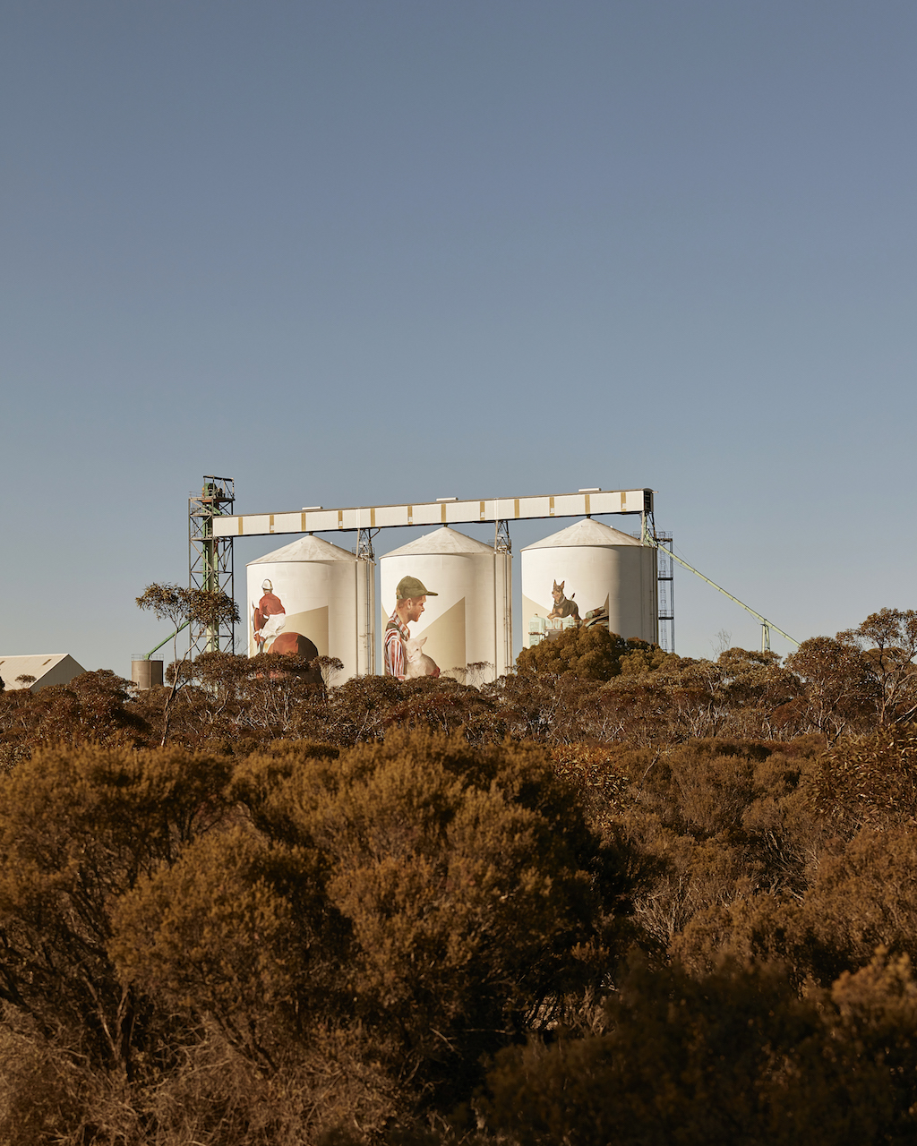 The Pingrup Silos, painted by artist Evoca1 emerge from the bush Western Australia Silverkris
