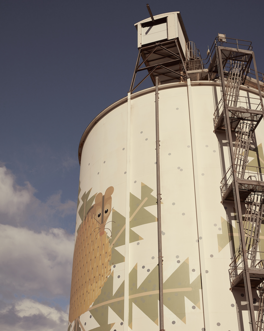One of the silos at Ravensthorpe Western Australia Silverkris