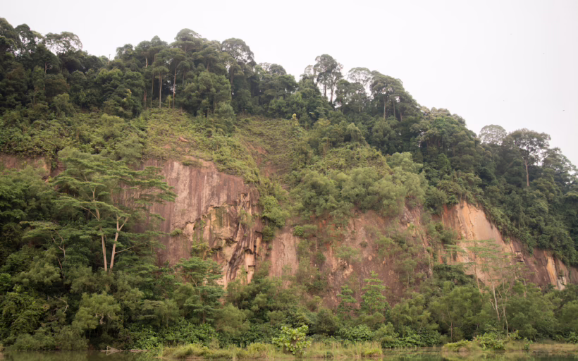 Dairy Farm Nature Park