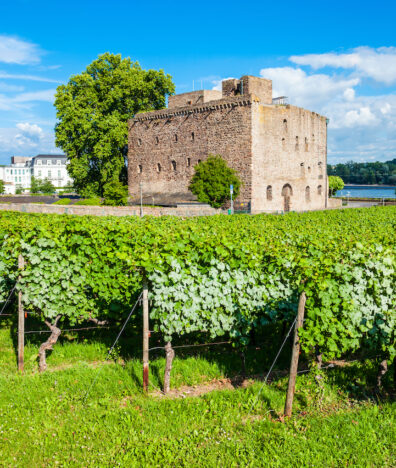 rheingau frankfurt city guide silverkris