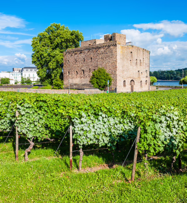 rheingau frankfurt city guide silverkris
