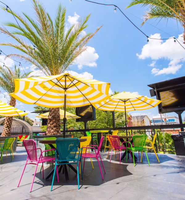 Present Company Houston City Guide