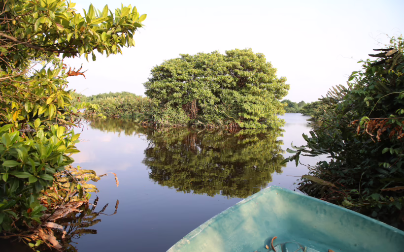 Sri Lanka mangroves eco-tour