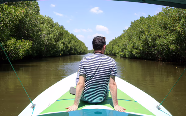 Sri Lanka mangroves eco-tour