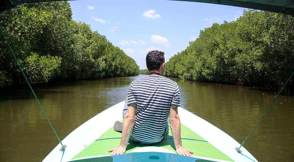 Sri Lanka mangroves eco-tour
