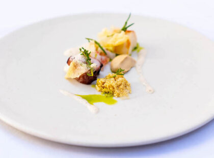 Brisbane city guide feature