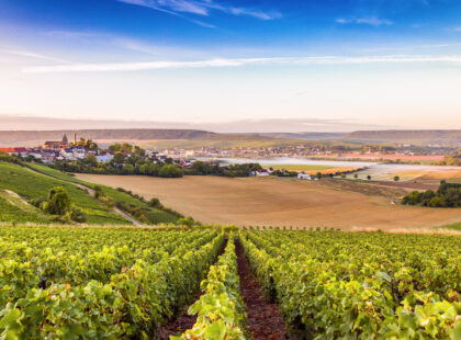Champagne region