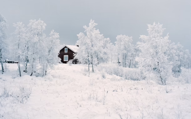 Arctic reindeer feature sweden