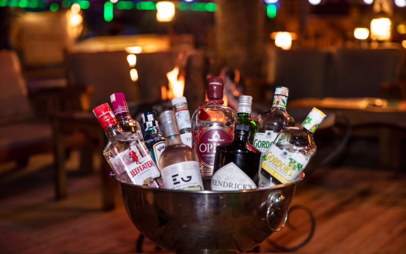 Bannie Kang cocktail tips