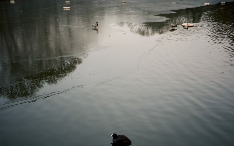England wild swimming feature