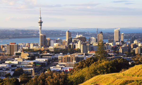 Auckland City Guide