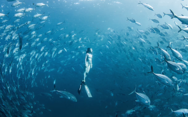 Freediving Lim Anqi