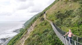Wellington walking tour feature