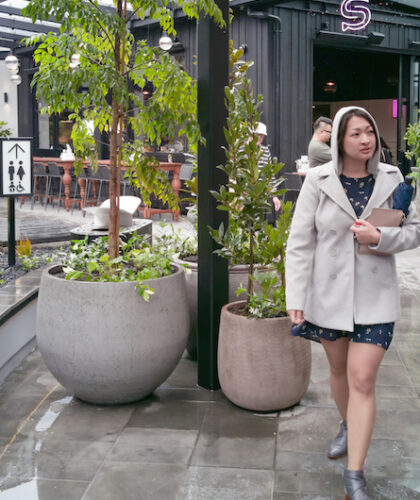 Auckland city guide Shop