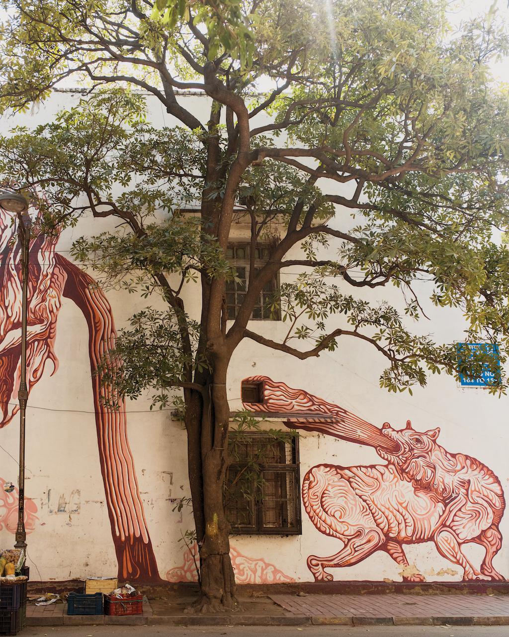 Lodhi Delhi neighbourhood